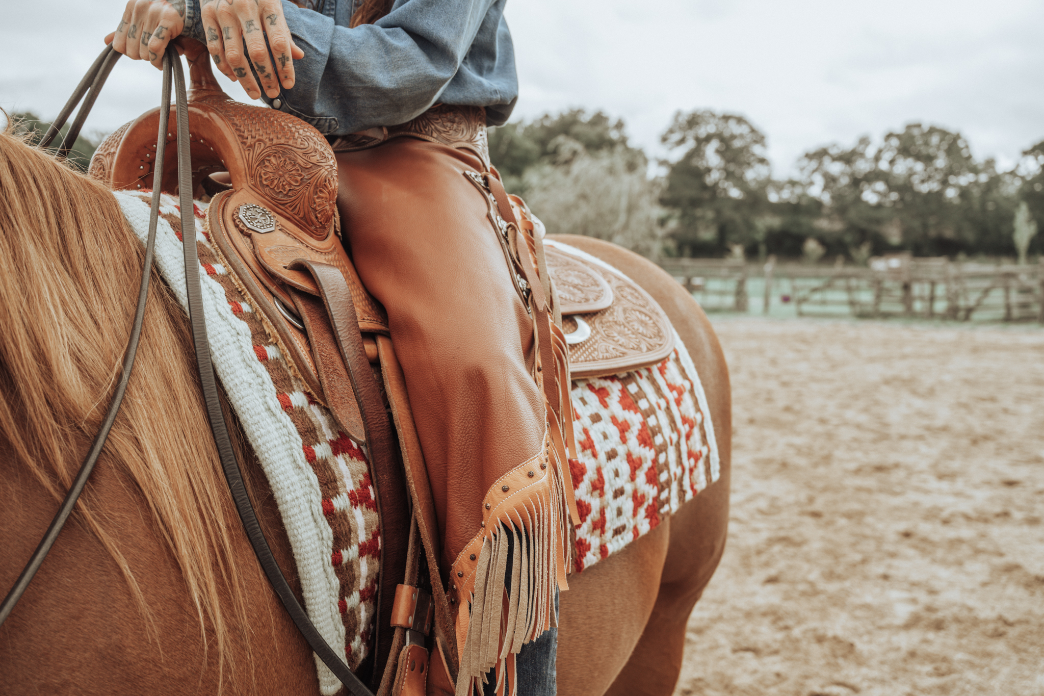 Western Show Ready look